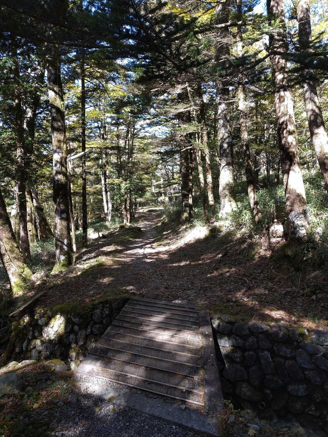 西大台へ向かう道